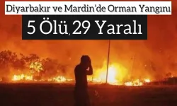 Mardin ve Diyarbakır'da orman yangını büyüdü, yardım bekleniyor!