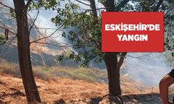 Eskişehir'de orman yangını: Ekipler müdahale ediyor