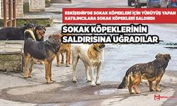 Eskişehir'de sokak köpekleri için yürüyüş yapan katılımcılara sokak köpekleri saldırdı