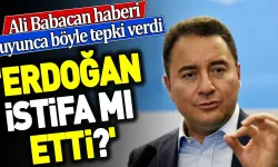 "RECEP TAYYİP ERDOĞAN İSTİFA MI ETTİ?"