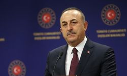 Çavuşoğlu, iki ülkenin dışişleri bakanları ile görüştü