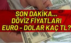 Dolar ne kadar, Euro kaç TL? Son dakika döviz kurları 7 Nisan 2020