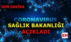 Son dakika... Corona virüsü 30 Haziran son durum tablosu açıklandı!