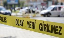 Ordu İkizce'de arazi meselesi kanlı bitti! 2 ölü, 4 yaralı