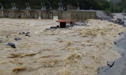 Son dakika! Giresun'da sel önüne kattığını götürdü! Kayıplar var..