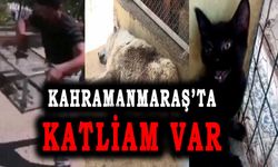 Vicdansız, Acımasız, Katiller! Kahramanmaraş Belediyesi’nde katliam var!