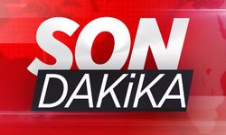 Uşak'ta sokak köpeğini öldüren doktor serbest kaldı