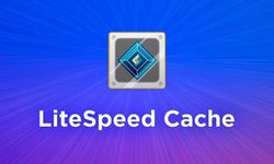 LiteSpeed Cache Ayarları ve Kurulumu WordPress