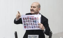 Süleyman Soylu'nun sözleri HDP'li vekilleri rahatsız etti