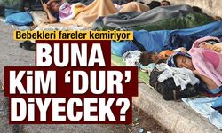 Mülteci dramı: Bebekleri fareler kemiriyor