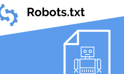 Robots.txt Nedir? Nasıl Kullanılır? Robots.txt önemi nedir?