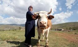 3 çocuk annesi kadın köyüne döndü, hem kanseri yendi hem girişimci oldu!