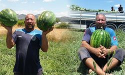 Antalya'da 15 kilogramlık karpuzlarla dünya şampiyonasına hazırlanıyor