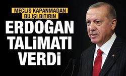 Cumhurbaşkanı Erdoğan'dan hayvan hakları için talimatı verdi