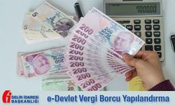 Vergi borcu yapılandırma başvurusu nasıl yapılır? e-Devlet ödeme...