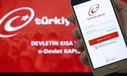 Vergi borcu yapılandırması nasıl yapılır? e-Devlet