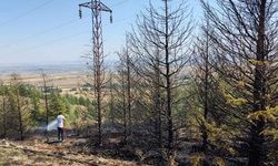 Eskişehir Kavacık Ormanında yangın çıkaranlara müdahale