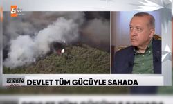 Erdoğan: Yerleşim bölgelerindeki yangın, büyükşehir belediyelerinin sorumluluğundadır