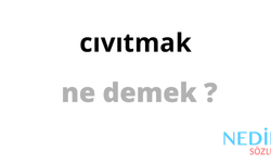 Cıvıtmak ne demek? Cıvıtmak kelimesinin cümle içinde kullanımı