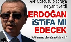 Recep Tayyip Erdoğan istifa mı edecek?