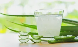 Herbalife Aloe Vera Suyu Ne işe Yarar, Faydaları, Yorumları?