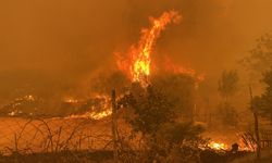 Çanakkale yangın ile sarsıldı, büyük yangına müdahale başladı