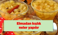 Elmadan kışlık neler yapılır?