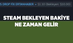 Steam Bekleyen Bakiye (Sorunu) Ne Zaman Gelir?