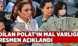 Dilan Polat’ın Toplam Mal Varlığı Açıklandı