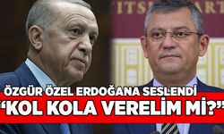 Özgür Özel Erdoğan'a seslendi: Kol kola verelim mi?