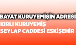 BAYAT! Kırlı Kuruyemiş Seylap Caddesi Eskişehir