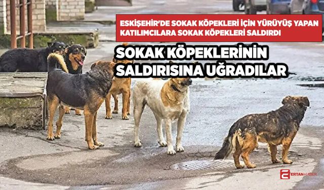 Eskişehir'de sokak köpekleri için yürüyüş yapan katılımcılara sokak köpekleri saldırdı