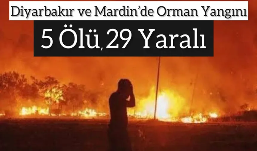 Mardin ve Diyarbakır'da orman yangını büyüdü, yardım bekleniyor!