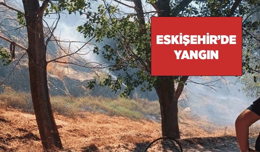 Eskişehir'de orman yangını: Ekipler müdahale ediyor