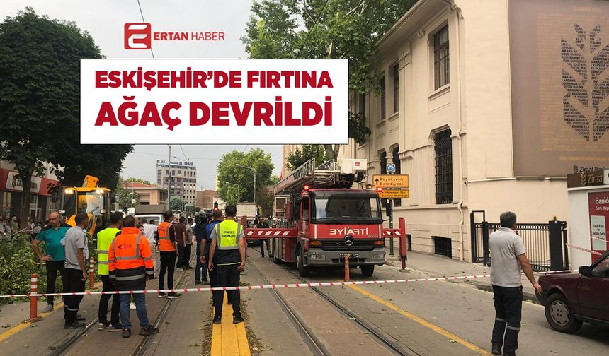 Eskişehir'de Fırtına: Vilayet'in önünde ağaç devrildi, tramvay seferleri durdu