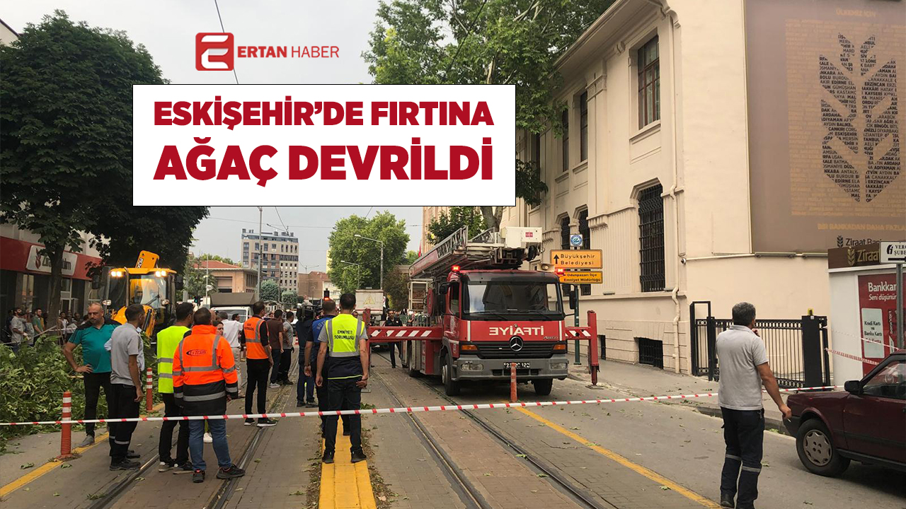 ESKİŞEHİR TRAMVAY YOLUNA AĞAÇ DEVRİLDİ